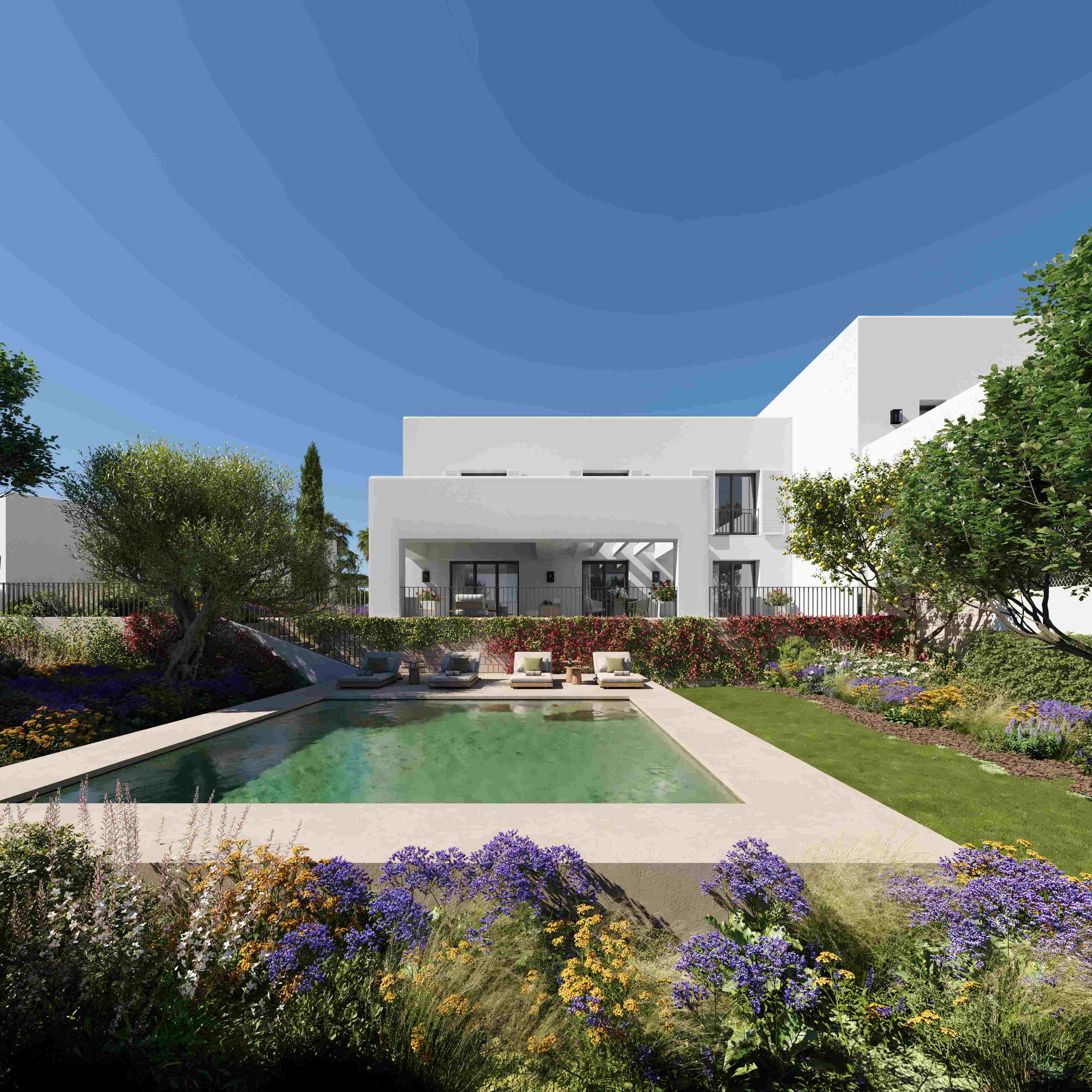 New development in San Roque